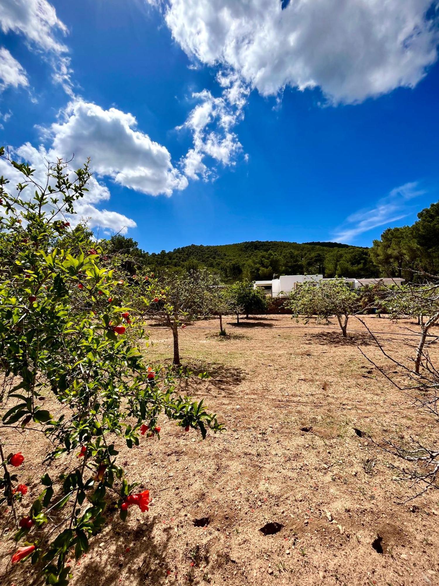 Villa Charming 4Br Finca With Xxl Private Pool - Short Walk To Unvrs & Amnesia Sant Antoni de Portmany