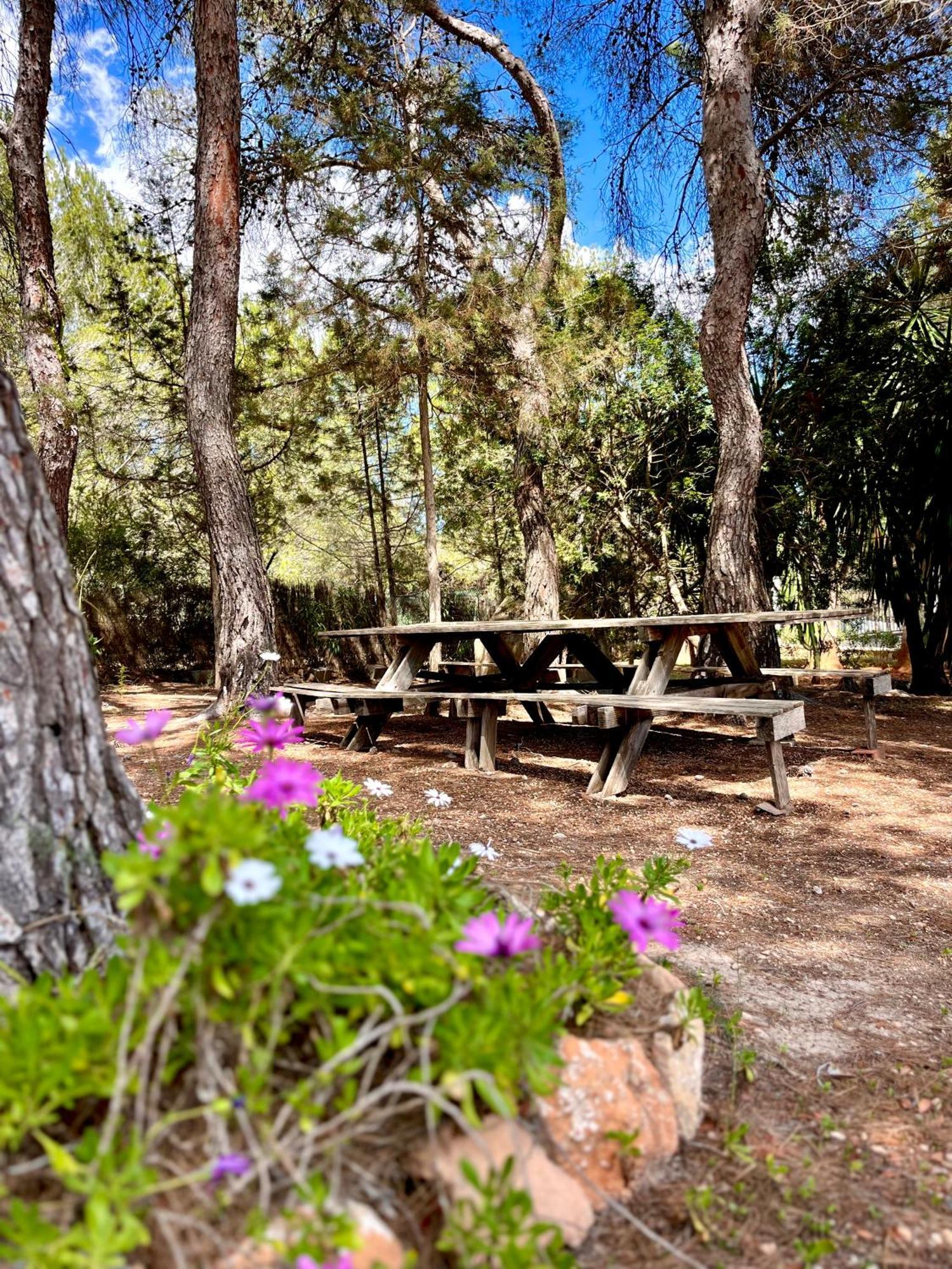 Charming 4Br Finca With Xxl Private Pool - Short Walk To Unvrs & Amnesia Villa